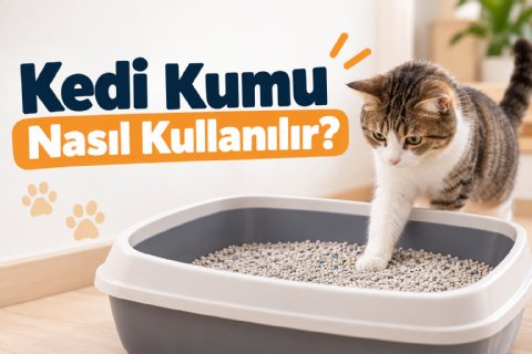 Kedi Kumu Nasıl Kullanılır