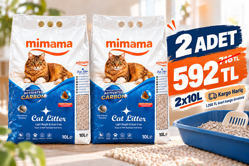 Mimama kedi kumu