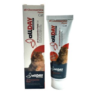 Allday all-Glucosamine Paste Cat 100g