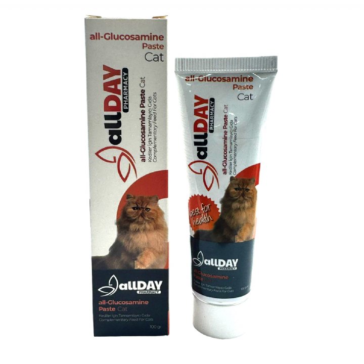 Allday all-Glucosamine Paste Cat 100g