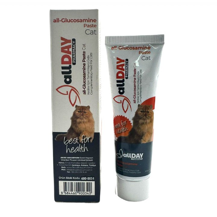 Allday all-Glucosamine Paste Cat 100g