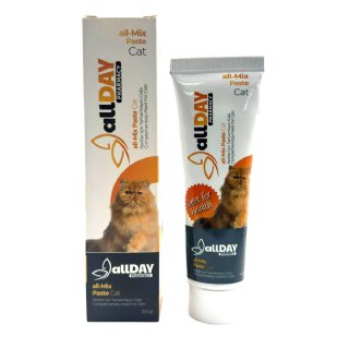 Allday all-Mix Paste Cat 100g