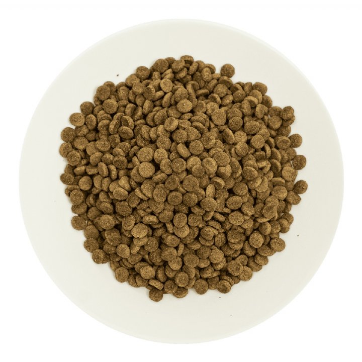 Prochoice Pro 33 Somonlu ve Karidesli Yetişkin Kedi Maması 2kg - Hipoalerjik