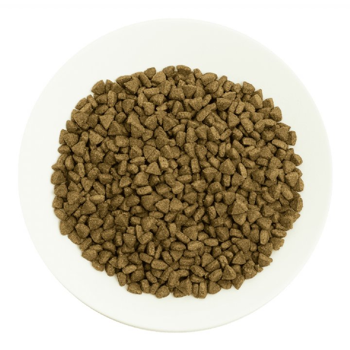Prochoice Pro 34 Somonlu ve Pirinçli Yetişkin Kedi Maması 2kg - Hipoalerjenik