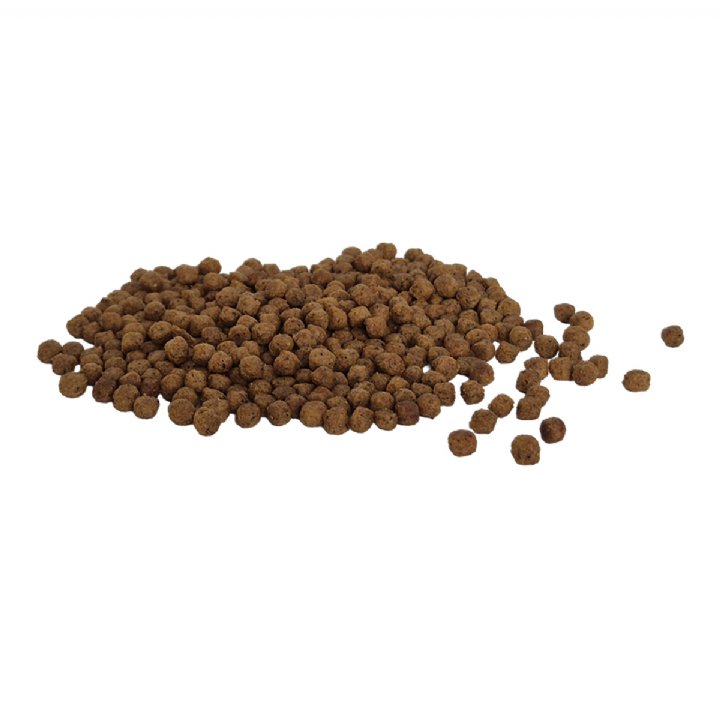 Bestpet Tavuklu ve Pirinçli Yavru Kedi Maması 1kg
