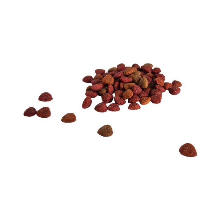Bestpet Tavuklu Kuzu Etli ve Balıklı Mix Yetişkin Kedi Maması 15kg