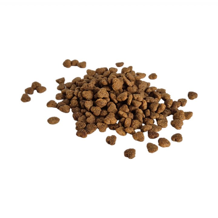 Bestpet Selection Tavuklu Yetişkin Kedi Maması 15kg - (Seçici Kediler İçin)