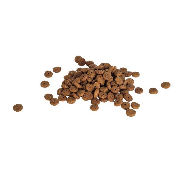 Bestpet Somonlu Kısırlaştırılmış Yetişkin Kedi Maması 15kg