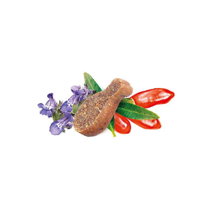 Brit Care Kedi Naneli ve Goji Meyveli Sakinleştirici Kedi Ödül Maması 50g